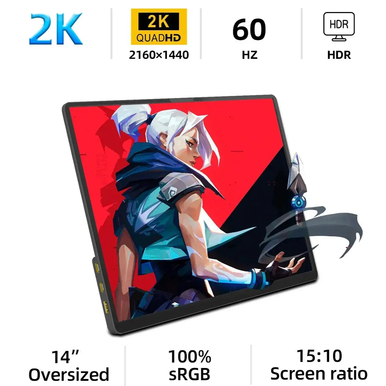 ZSUS 14" 2K Portable Monitor